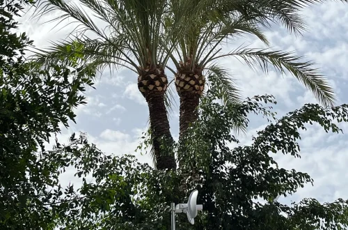 469220359_17985459341766075_8788755487377323189_n
